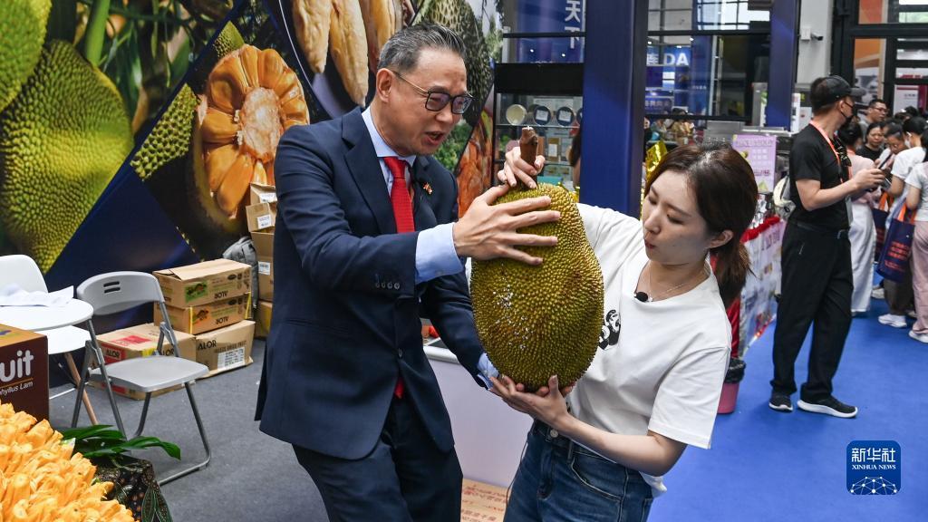 下载就送彩金